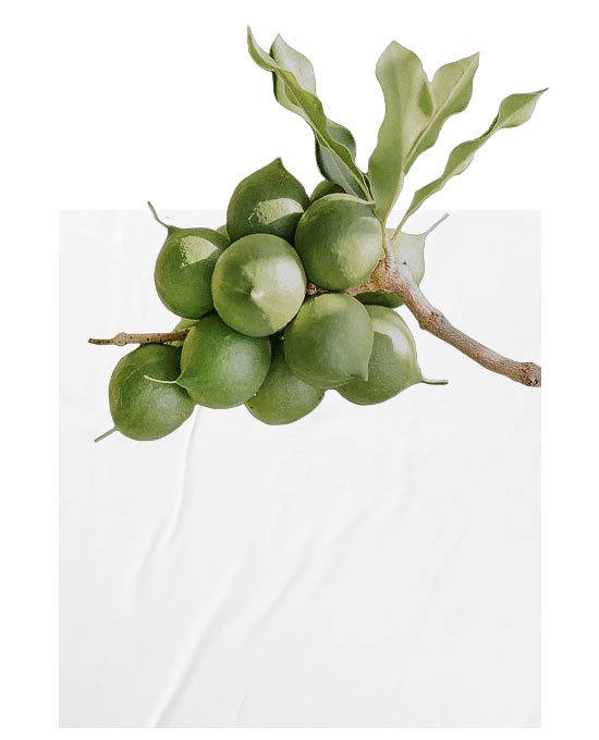 Plant Oils